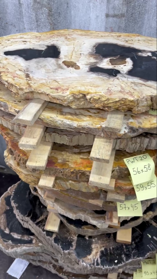 Столешницы для журнальных столов из окаменелого дерева