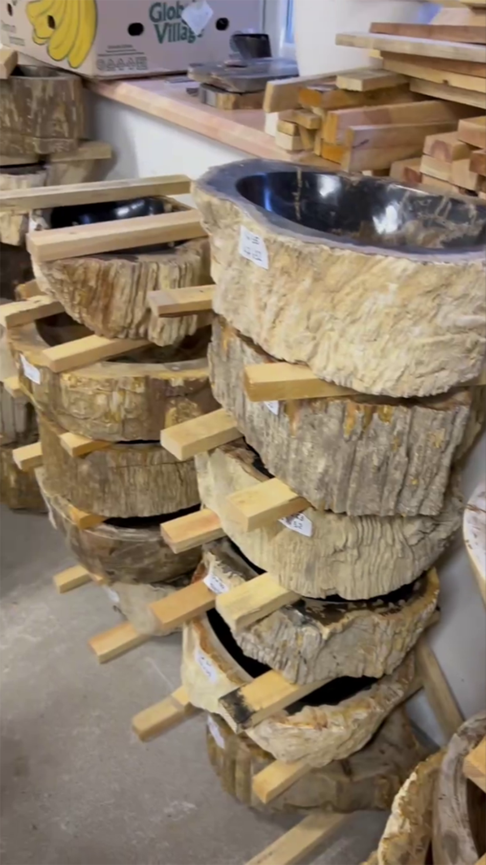 Раковины из окаменелого дерева