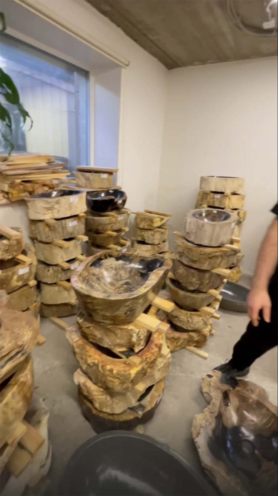 Раковины из окаменелого дерева 6