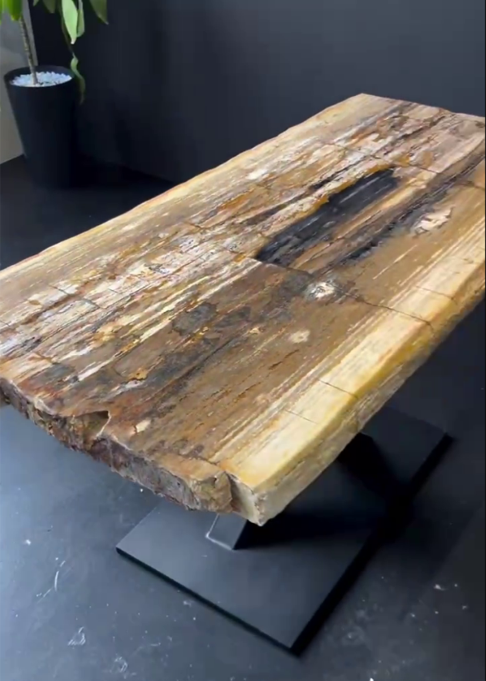 Стол из окаменелого дерева