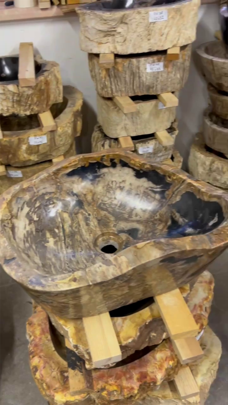 Раковины из окаменелого дерева