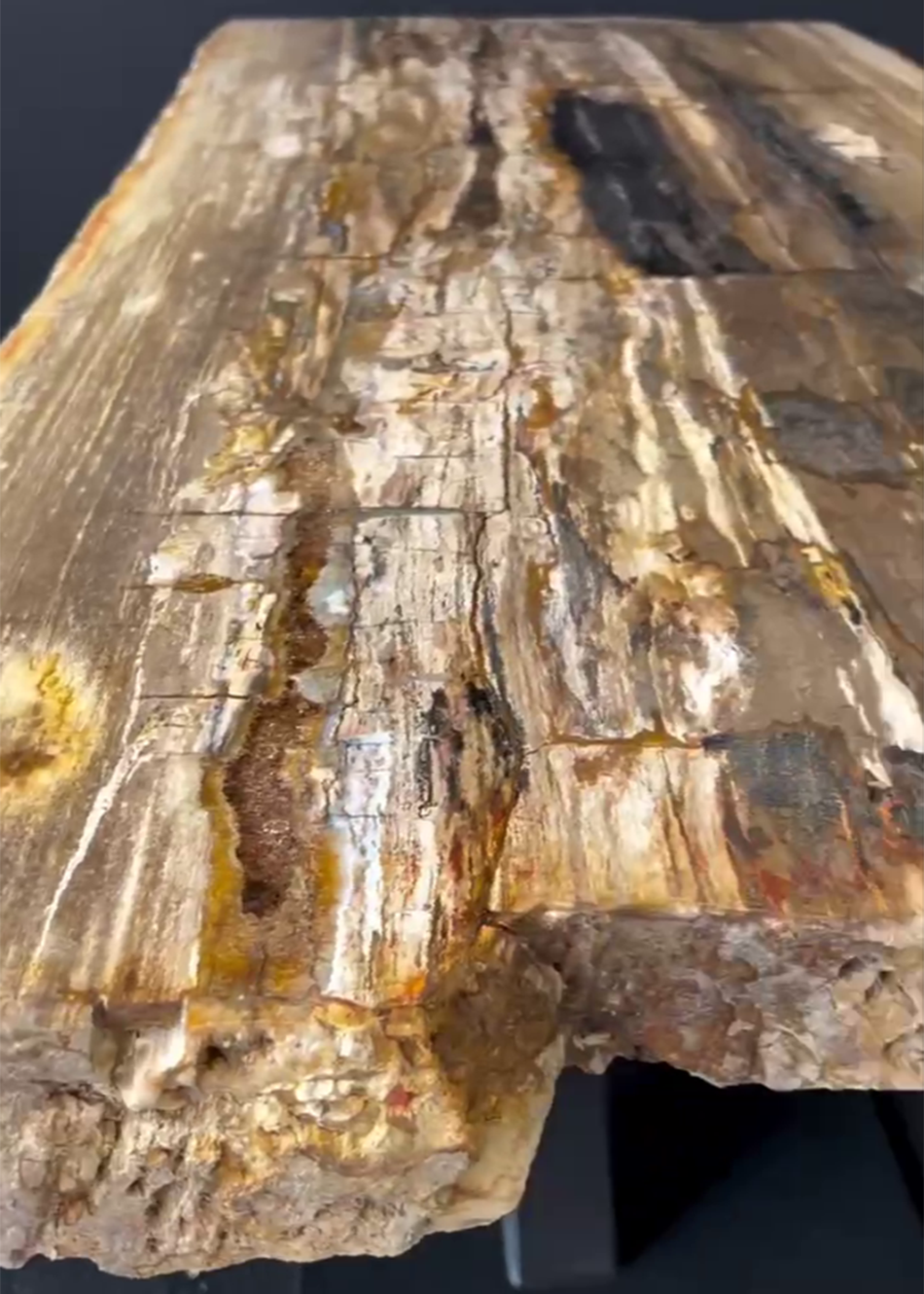 Стол из окаменелого дерева 4